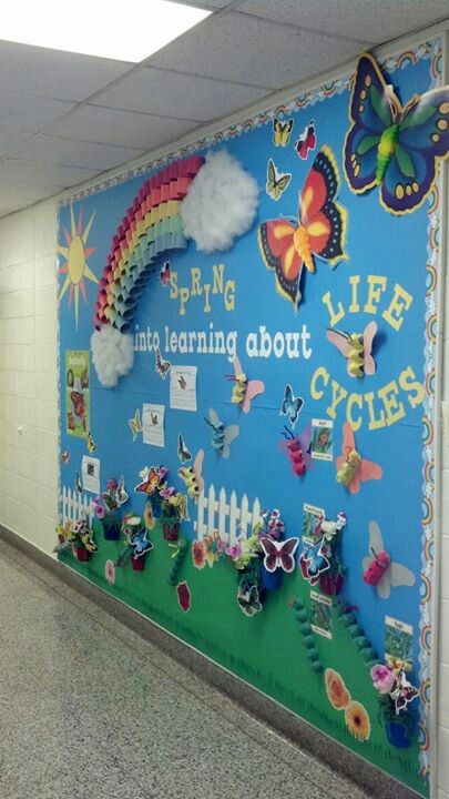 Life Cycle Life Cycle Bulletin Board Ideas, Butterfly Life Cycle Bulletin Board, Life Cycle Of A Butterfly Bulletin Board, Butterfly Classroom Theme, Easter Classroom Door, Cycle Of A Butterfly, Life Cycle Of A Butterfly Anchor Chart, Caterpillar Stages Butterfly Life Cycle, Butterflies Classroom