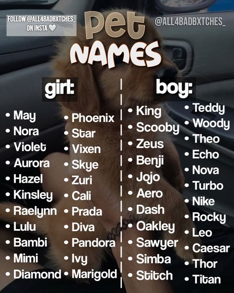 Code Names For Crushes List, Cute Country Names For Puppies, Puppy Names Aesthetic, Widgetable Pet Names, Aesthetic Kitten Names, Preppy Adopt Me Pet Names, Cute Puppies Names, Dog Names Aesthetic, Animal Name Ideas