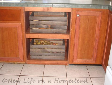 Getting rid of our automatic dishwasher was part of going off grid. Here's a creative way we filled the empty space the old appliance left behind. Dishwasher Space Ideas, Dishwasher Replacement Ideas, Dishwasher Hole Ideas, Dishwasher Cabinet, Drawer Dishwasher, The Dishwasher, Urban Decor, Rental House, Front House