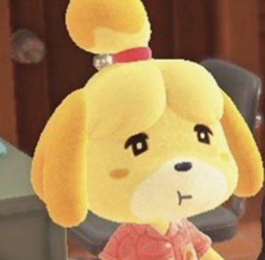 Animal Crossing Pfp Isabelle, Isabella Animal Crossing Pfp, Canela Animal Crossing, Animal Crossing Isabelle, Isabelle Animal Crossing, Toro Inoue, Animal Crossing Funny, Animal Crossing Memes, Nap Pillow