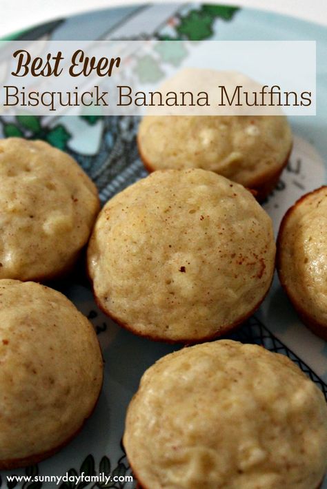 The best and easiest banana muffins you'll ever make! You won't believe they're made with Bisquick when you taste how moist and delicious these are. Bisquick Banana Muffins Recipes, Bisquick Banana Muffins, Bisquick Muffins, Bisquick Recipes Breakfast, Bisquick Banana Bread, Impossible Pies, Gluten Free Bisquick, Banana Muffins Easy, Bisquick Recipes