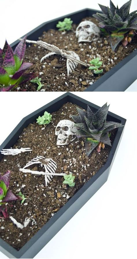 Coffin Table, Halloween Planters, Creepy Diy, Goth Houses, Goth Garden, Spooky Night, Gothic Garden, Goth Home Decor, Dark Home Decor