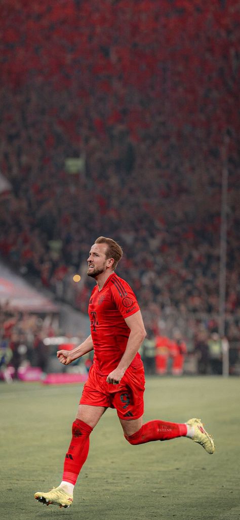 #bayernmunich #wallpapers Harry Kane Bayern Munich, Bayren Munchin, Harry Kane Wallpapers, Bayern Munich Wallpapers, United Wallpaper, Manchester United Wallpaper, Harry Kane, Soccer Pictures, Linkin Park