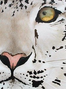 Snow Leopard Art, Leopard Watercolor, Leopard Art, Great Works Of Art, Everyday Art, Cheetahs, Snow Leopard, Leopards, Watercolor Animals