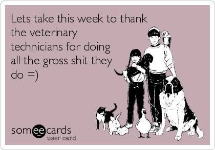 #vettechweek Veterinary Technician Humor, Vet Tech Outfit, Veterinary Technician Week, Veterinary Humor, Vet Nursing, Vet Tech Humor, Vet Tech Appreciation, Veterinarian Technician, Vet Tech School