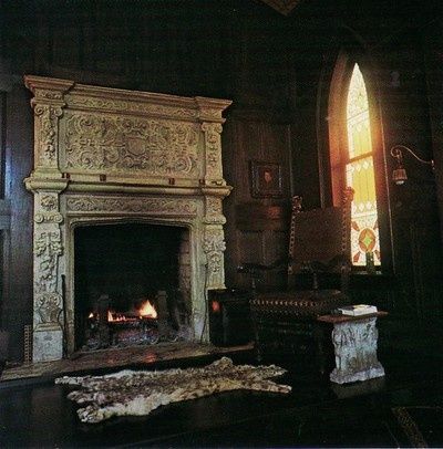 Dark Class | A classy guide to adding a touch of the dark, old, or macabre to your home, wardrobe, or lifestyle. Parlour Design, Victorian Rooms, Hawke Dragon Age, Animal Skin Rug, Gothic Window, Picture Borders, Victorian Parlor, Secret Room, Fire Places