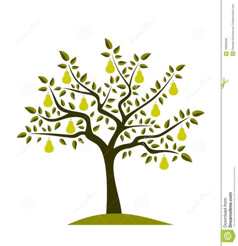 Pear tree stock vector. Illustration of ... Pear Tree Drawing, Fruit Tree Illustration, Pear Tree Painting, Pear Tree Illustration, Planting Tree Illustration, Pear Illustration Design, Tree Drawing Simple, Doodle People, Tree Doodle