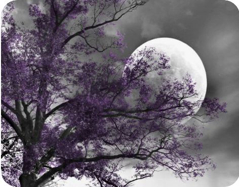 Purple Gray Bedroom Walls, Purple Gray Bedroom, White Flowering Trees, Tree Moon, Purple Wall Art, Purple Wall, Red Wall Art, Mazzy Star, Purple Walls