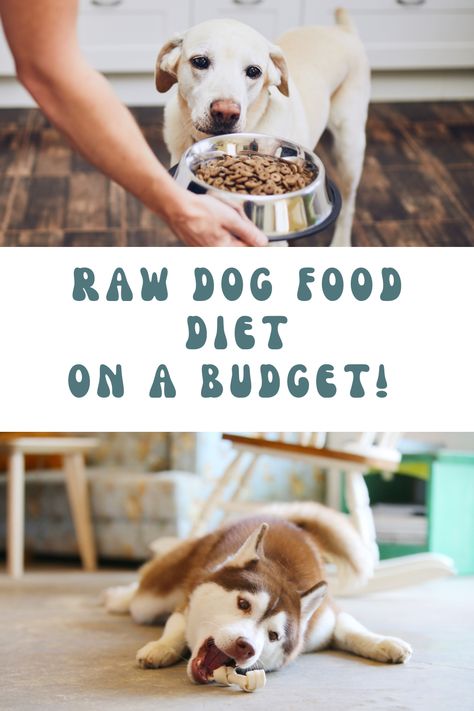 Raw Diet For Dogs, Raw Food For Dogs, Dog Raw Diet, Raw Feeding For Dogs, High Protein Dog Food, Diet For Dogs, Cook Dog Food, Raw Dog Food Diet, Food For Dogs