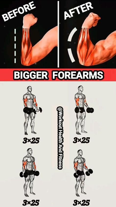 Bigger Forearms, Forearm Workout At Home, Big Biceps Workout, Shoulder Workout Routine, Dumbbell Arm Workout, Horrible Tattoos, Master Tattoo, Workout Gym Routine, Gym Workout Guide