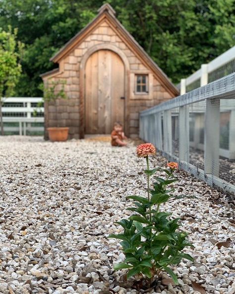 Joanna Gaines Chicken Coop, Geese House, Joanna Gaines Farmhouse, Goose House, Entryway Mirror, Entryway Lighting, Entry Way Design, Peach Trees, White Farmhouse