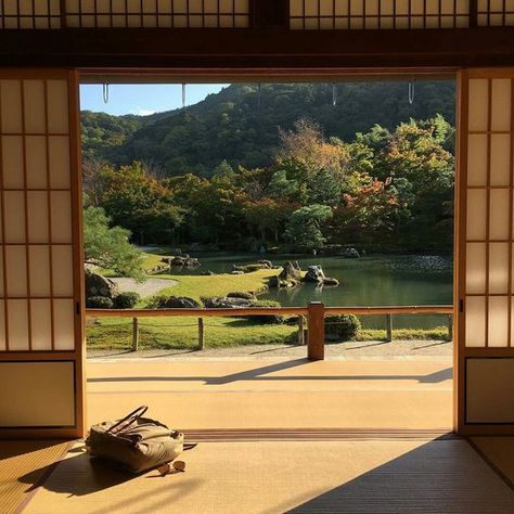 숲 사진, Japan Aesthetic, Aesthetic Japan, Japanese Architecture, Japanese Aesthetic, Japanese House, Aang, Pretty Places, Japanese Garden