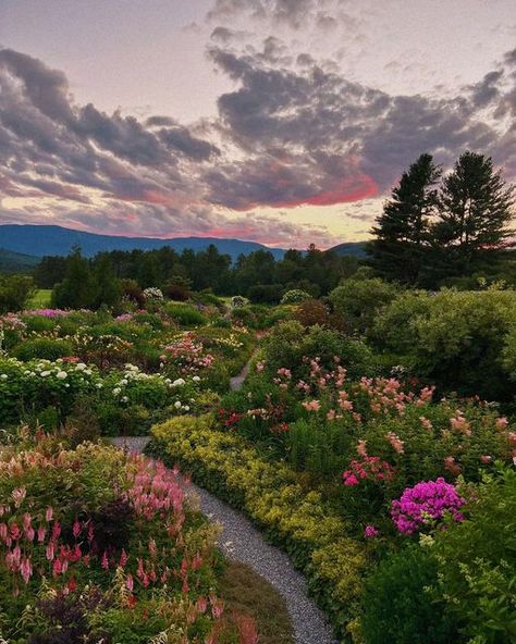 tinyatlas on Instagram: "A sunset meander at @vontrappflowers in the Mad River Valley (have you been to this valley?) in Vermont. Three generations of von Trapps have nurtured this land with Emily von Trapp now taking the helm with a sustainable flower farm. The garden is open to the public for three more weekends this season with ticket sales benefitting Mad River nonprofits. Emily von Trapp and her mother (yes, those von Trapps) cameos in this set, but this garden is officially Emily’s fath Flower River Garden, Mad River Valley Vermont, Emily Season, Emily Place, July Season, Emily Aesthetic, Land Aesthetic, Valley Aesthetic, Flower Valley