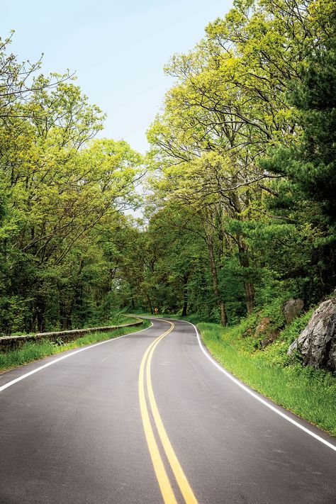 The South's Best Scenic Drives 2022 Skyline Drive Virginia, Take Me Home Country Roads, Cloudland Canyon, Kentucky Bourbon Trail, Vacation 2023, Cape Hatteras National Seashore, Natchez Trace, Skyline Drive, Shenandoah National Park