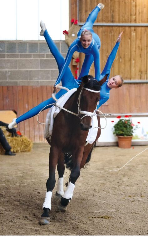 Vaulting Equestrian, Horse Vaulting, Horse Tack Rooms, Fondant Flower Tutorial, Trick Riding, Equestrian Aesthetic, Circus Performers, Equestrian Life, Show Jumping