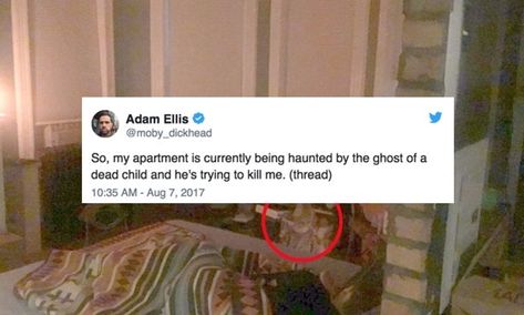 Haunted Apartment, Dear David, Adam Ellis, Top Horror Movies, Paranormal Photos, Real Haunted Houses, Justin Long, Scary Ghost Pictures, Real Ghosts