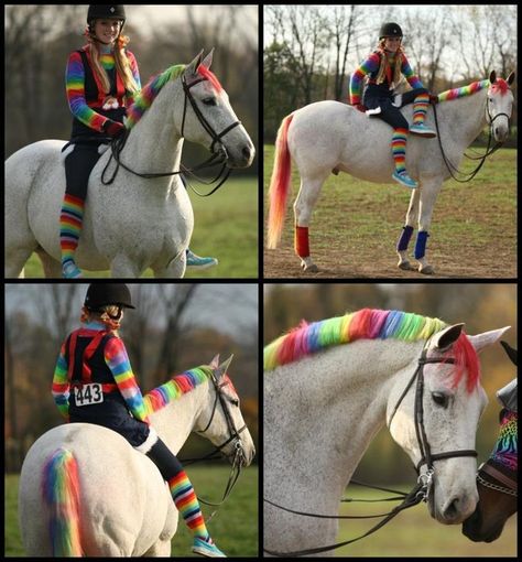 A selection of very creative HALLOWEEN HORSE COSTUMES! - Horse and Man Horse Fancy Dress, Rainbow Costume, Horse Halloween Costumes, Horse Halloween, Halloween Horse, Dream Costume, Horse Costume, Horse Braiding, Rainbow Horse