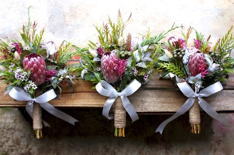 Protea, Brunia, Kangaroo Paw Swallows Nest Farm Protea Wedding, Protea Bouquet, February Wedding, Protea Flower, Australian Native Flowers, Wedding Info, Wax Flowers, Wedding Bridal Bouquets, Swallows