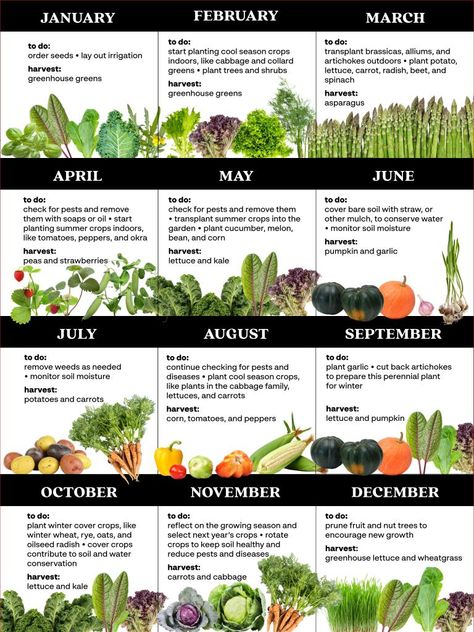 Growing a Kitchen Garden | United States Botanic Garden United States Botanic Garden, Spice Garden, Vegetable Garden Diy, Garden Veggies, Veg Garden, Healthy Garden, Home Vegetable Garden, Food Garden, Diy Garden Projects