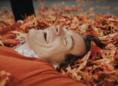 harry styles Harry Styles Halloween, Boyfriend Quiz, Harry Styles Aesthetic, Harry Styles Wallpaper, Harry Styles Pictures, Harry Styles Photos, Orange Aesthetic, Halloween Icons, Buzzfeed Quizzes