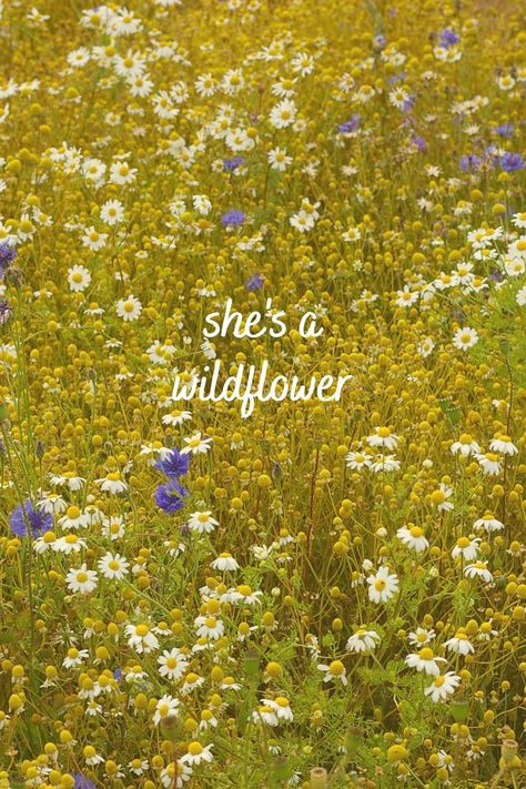 Free Spirit Aesthetic Quotes, Spirit Aesthetic, Free Spirit Girl, Wild Flower Quotes, She's A Wildflower, Free Spirit Aesthetic, Pretty Phone Wallpaper, Spring Wallpaper, Art Diary