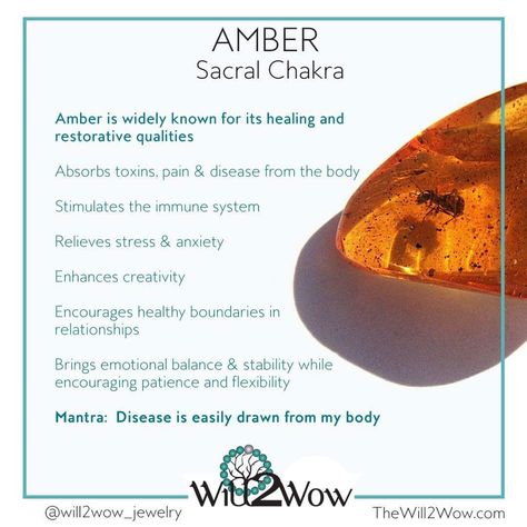 Crystal Healing with the tree resin amber Amber Meaning Stones, Amber Meaning Crystals, Amber Healing Properties, Amber Properties, Healing Crystal Bracelets, Stone Meanings, Crystal Seashells, Crystals Healing Properties, Amber Crystal