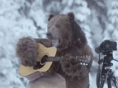 Snow Gif, Meanwhile In Russia, Bear Hug, Bathroom Humor, Mark Twain, Best Funny Pictures, Brown Bear, Playing Guitar, Images Gif