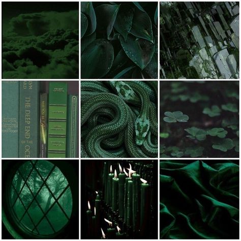 Snake Moodboard, Green Moodboard, Drawing Prompts, Creative Drawing Prompts, Green Snake, Drawing Prompt, Mood Board Inspiration, Mood Board Design, Creative Drawing