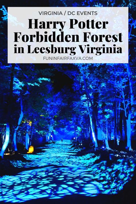 A Magical Harry Potter Forbidden Forest Comes to Leesburg VA Harry Potter Forbidden Forest, Fantastic Beasts Movie, Fantastical Creatures, Leesburg Virginia, Forbidden Forest, Virginia Travel, Magic Forest, Usa Travel Destinations, I Want To Travel