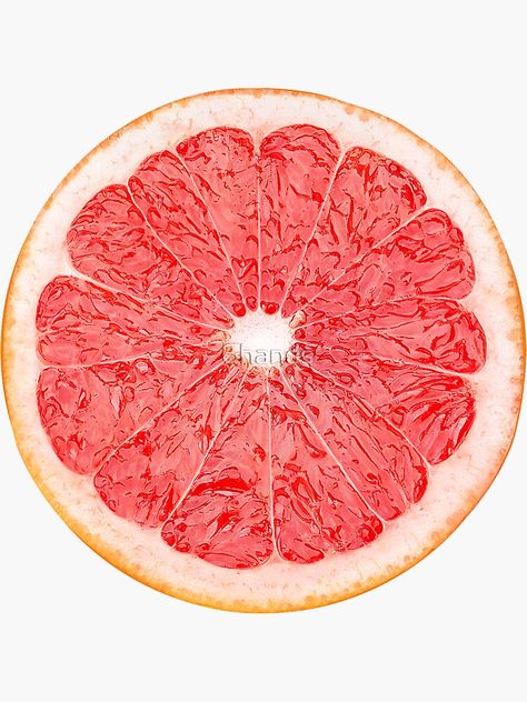 Grapefruit Drawing, Grapefruit Tattoo, Tattoo Maker, Wine Glass Crafts, Lunch Room, Fruit Art, Free Stickers, Fruits And Veggies, Glass Crafts