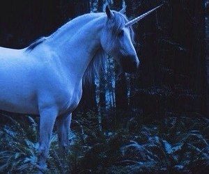 Imagen de unicorn, magic, and fantasy Harry Potter Subjects, Vampire Clown, Harry Potter Magical Creatures, Marilyn Monroe Drawing, Fairy Grunge Aesthetic, Forbidden Forest, Unusual Pictures, Forest Ranger, Destroy Lonely