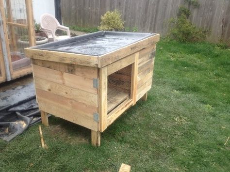 Pallet Rabbit Hutch, Backyard Chickens Diy, Rabbit Hutch Plans, Chicken Coop Kit, Diy Rabbit Hutch, Rabbit Enclosure, Meat Rabbits, Bunny Hutch, Indoor Rabbit