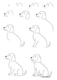 The kids will love this How to Draw a Dog Step by Step Instructions | learn how to draw a puppy with simple step by step instructions How To Draw Painting, Trin For Trin Tegning, Draw A Dog, 심플한 그림, Draw Painting, 강아지 그림, Pola Sulam, Creative Drawing, Dog Drawing