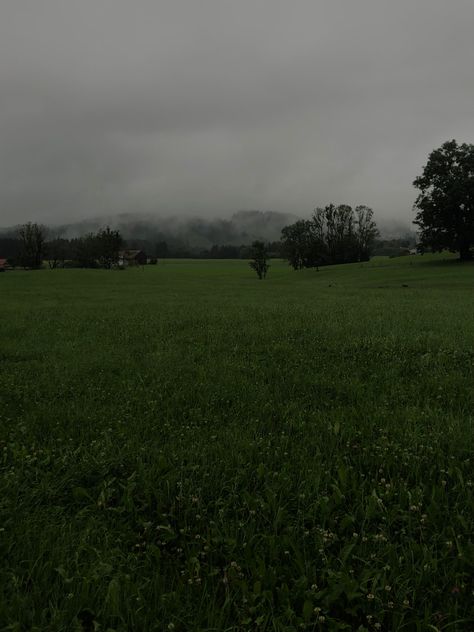 Cloudy Field, Poison Tree, Creepy Backgrounds, Gloomy Weather, Dark Summer, Dark Nature, Dark Clouds, Grass Field, Sky Pictures