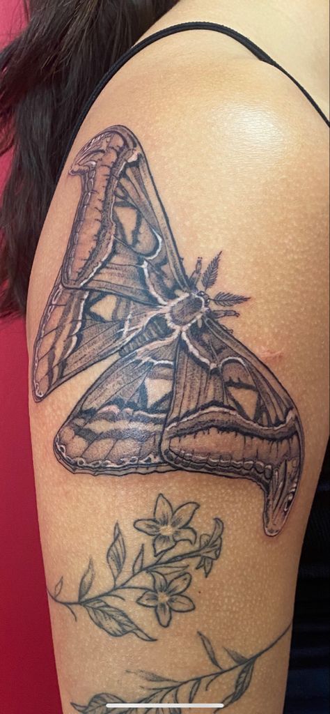 Atlas Moth Tattoo Black And White, White Witch Moth Tattoo, Atlas Moth Tattoo, Moth Tattoo Meaning, Large Moth, Atlas Moth, Lunar Moth, Tattoo Board, Underboob Tattoo