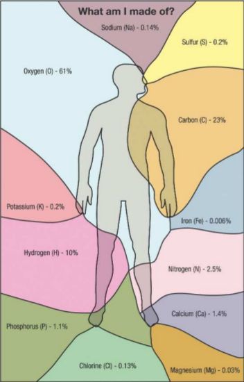 Earth Learning Idea: New ELI - Comparison between the chemistry of the human body and the Earth Human Body Elements, Science Elements, Classical Conversations Cycle 3, Chemistry Classroom, Chemistry Education, Cc Cycle 3, Teaching Chemistry, 8th Grade Science, Chemistry Lessons