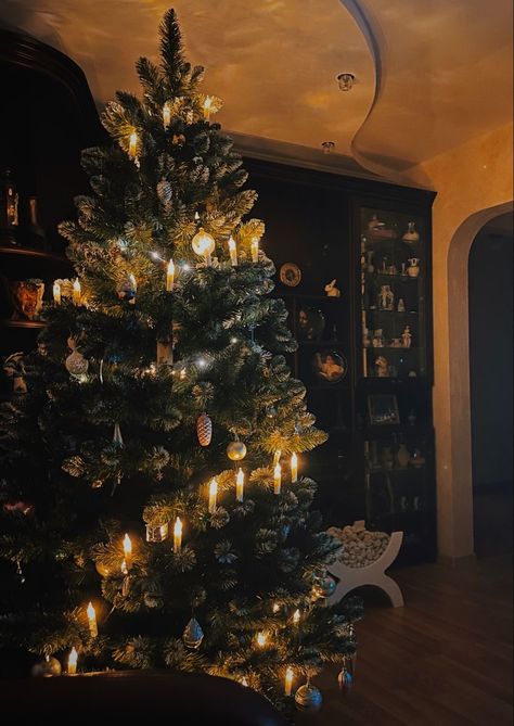 Dark Academia Christmas Tree, Dark Academia Christmas Aesthetic, Christmas Dark Academia, Christmas Academia, Yule Aesthetic, Bookshop Ideas, Dark Academia Christmas, Academia Christmas, Christmas Tree Aesthetic