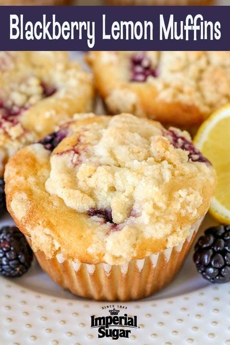 Blueberry Lemon Muffins, Blackberry Muffin, Blackberry Lemon, Puff Pastry Cream Puffs, Fluffy Cinnamon Rolls, Crumb Muffins, Blackberry Recipes, Ultimate Breakfast, Lemon Muffins