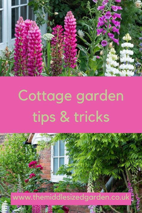 Small English Garden, Garden Tips And Tricks, Farmhouse Garden Decor, Cottage Garden Style, Cottage Garden Borders, Country Cottage Garden, Cottage Garden Design, Cottage Garden Plants, Garden Design Layout