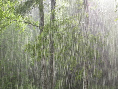 Relaxing Spaces, Bedroom Needs, Rain And Thunderstorms, Sleep Guide, Smell Of Rain, Rainy Day Aesthetic, I Love Rain, Life Planning, Pouring Rain