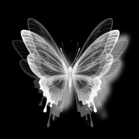 Wallpaper Butterfly, Butterfly Black And White, Zestaw Ikon, Wallpaper Hitam, Black Wallpaper Iphone, Tapeta Pro Iphone, Black And White Wallpaper, Black Butterfly, Black And White Aesthetic