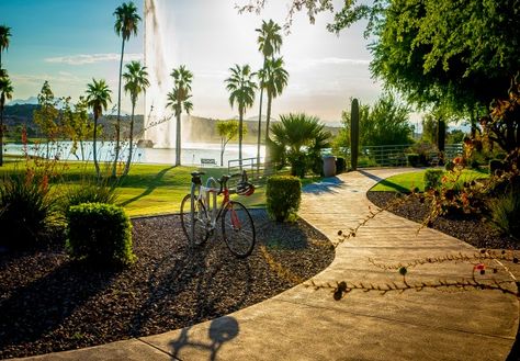 Fountain Hills Arizona, Real Estate Websites, Living In Arizona, Sonoran Desert, Gorgeous Sunset, Scottsdale Arizona, Best Places To Live, Farmhouse Style House, Rolling Hills