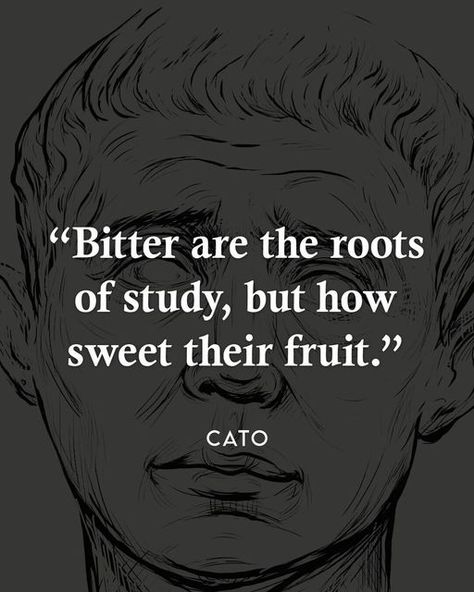 Stoic Quotes on Instagram: "Similarly, the famous line from Musonius Rufus was that labor passes quickly but the fruit of labor endures. It’s the same with discipline: the vigilance is temporary, but the fruit of that vigilance can be enjoyed long after the sacrifice has been forgotten. We think the good life is about being able to have what we want when we want it. We think we want to get everything that we want, that everything should come readily, come easily, come in plenty. No one should b Stoic Quotes, The Sacrifice, Quotes On Instagram, The Good Life, The Fruit, Good Life, Bitter, Words Quotes, Work Hard