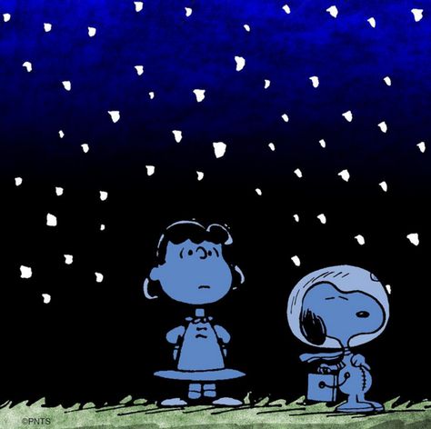 Looking at the stars. Snoopy Astronaut, Peanuts Snoopy Comics, Looking At The Stars, Project Mercury, Lucy Van Pelt, Famous Comics, Peanuts Cartoon, Peanuts Characters, Funny Comic