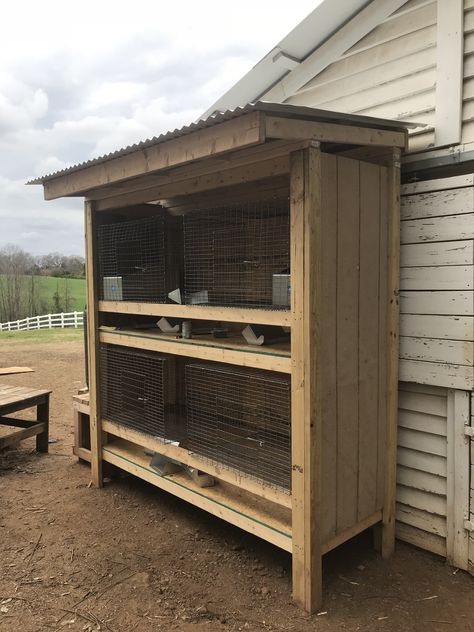 Our 4 cage outdoor rabbit hutch at Defiance Hill Farms Meat Rabbit Hutch Outdoor, Diy Rabbit Hutch Outdoor, Double Rabbit Hutch, Rabbit Hutch Outdoor, Rabbit Cages Outdoor, Rabbit Hutch Plans, Diy Rabbit Cage, Large Rabbit Hutch, Diy Rabbit Hutch