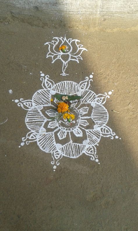 Alpona Design, Rangoli Designs, Quick Saves, Design