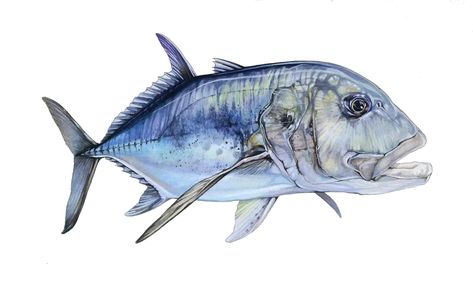 Giant Trevally Art, Trevally Fish, Giant Trevally, Fishing Freshwater, Fly Fishing For Beginners, Fishing Hacks, Trout Fishing Tips, Fish Artwork, Fly Fishing Gear