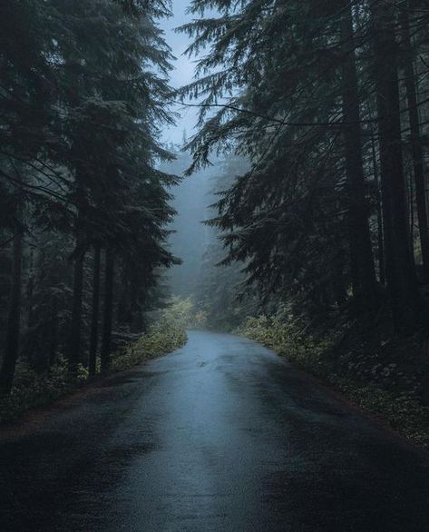 Pnw Forest, Strange Days, Dark Naturalism, More Adventures, Adventure Landscape, Road Less Traveled, Adventure Aesthetic, Pretty Landscapes, Good Night Moon