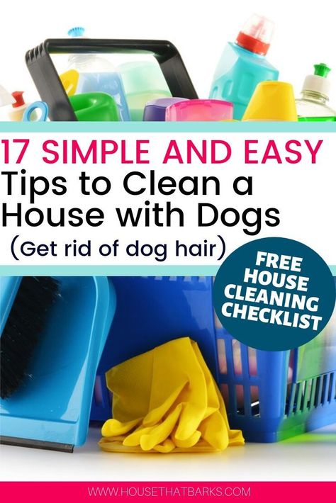 17 Easy House Cleaning Tips for the Dog Mom.