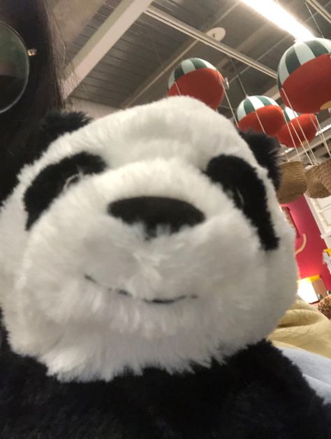 Panda Plushie, Panda Teddy Bear, Panda Stuffed Animal, Panda Store, Ikea Toys, I Love My Friends, Silly Animals, Cute Stuffed Animals, Cute Panda